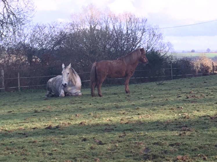 AE57D85C-2180-447B-95F4-336A8C5E9797