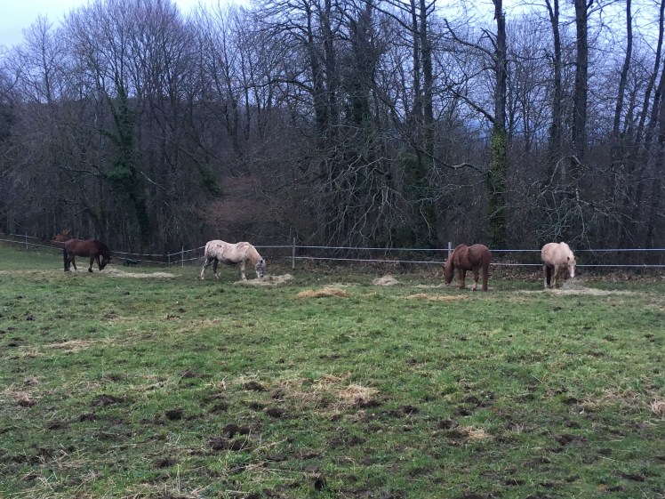 AFB4F63E-ADD7-4C8B-B7C7-B9239B3D37FD