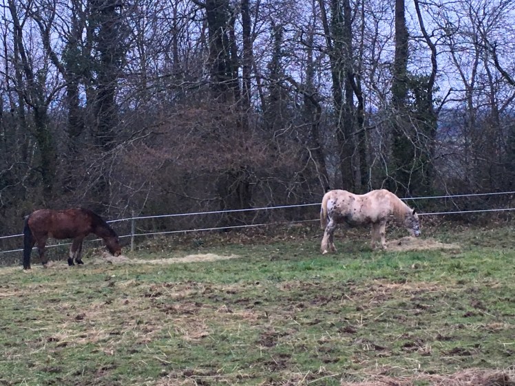 B3305CDD-3A8E-49C0-9852-B6695B77D400