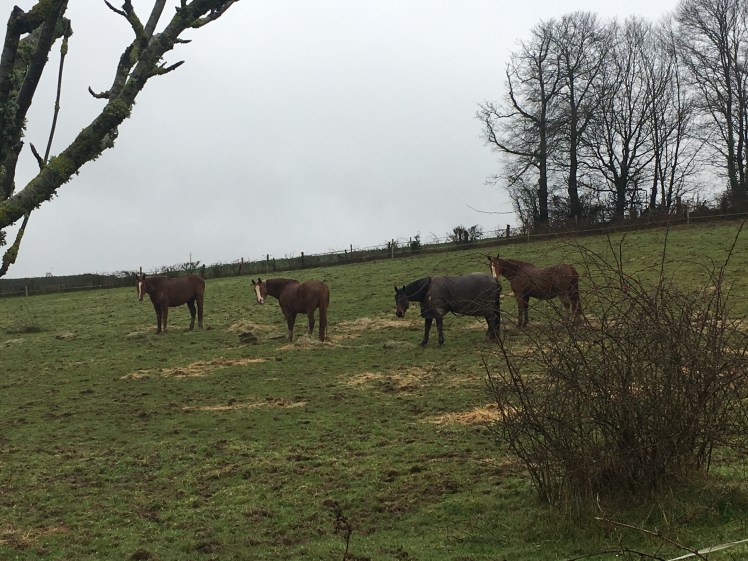 B874492D-748E-44DD-B443-EC6F03029B1F