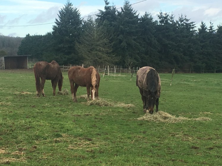 B9C6CF09-562C-46FB-98C4-4709133AB70A