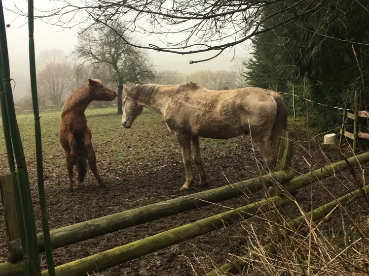 BDBEF942-C1E7-42D7-96BD-411057913481