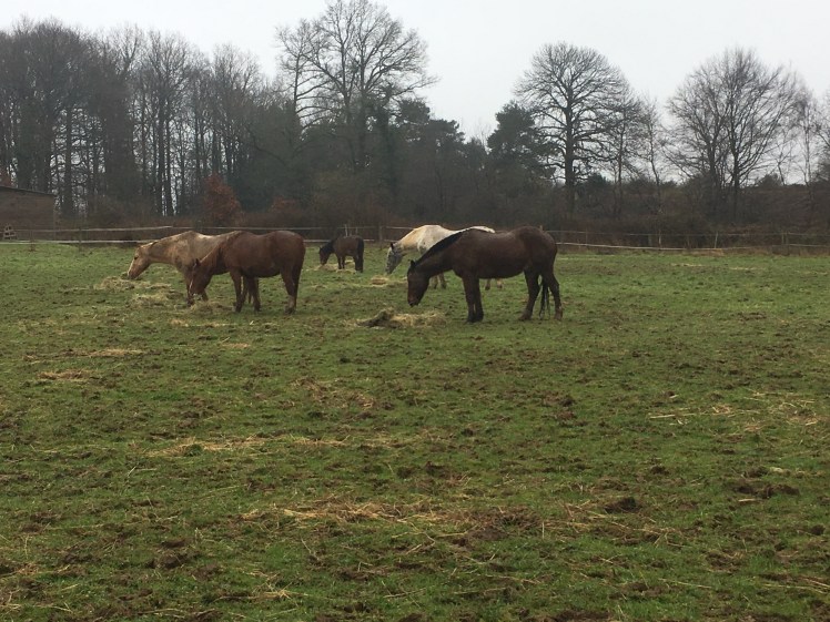 BF1231C2-9403-474B-BC15-4B92F84609E8