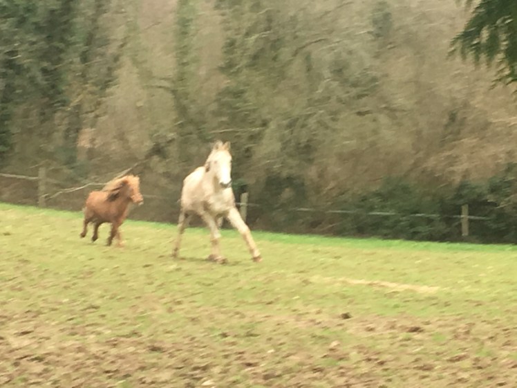 BF3486B7-5D02-4DBC-B543-4D311B44E8DD