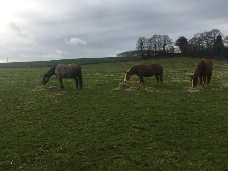 C3A79601-F049-4048-945E-F761F90C1FF6