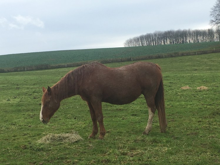 C7C78D8A-E43F-4EF8-9D37-AF6B730A3639