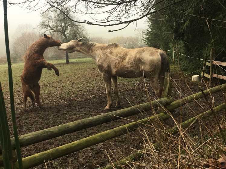 C8EDF648-3F87-4EBB-BB46-CED96B8CDEF4