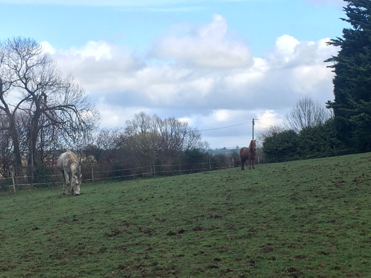 CB9809F8-1BB1-40E6-A237-3DDEB16A8982