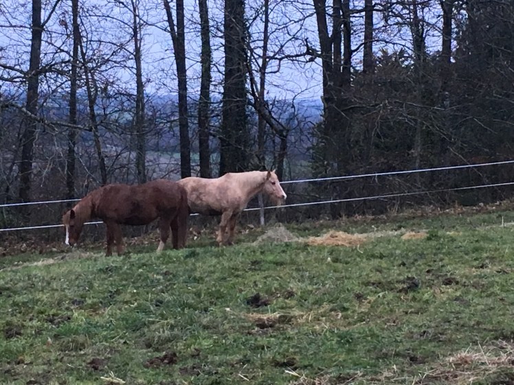 D25DAD67-4EED-4507-9CBE-0D43C2E06D0D