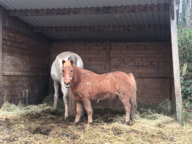 D96FED3A-0A42-4ABA-95F6-BB1714BD7F6F