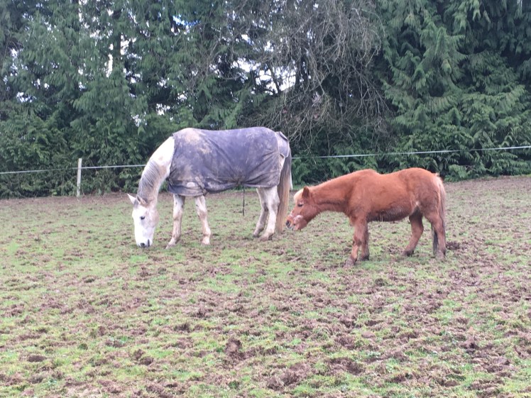 0D747634-1535-40CD-9029-ECFD970E9656