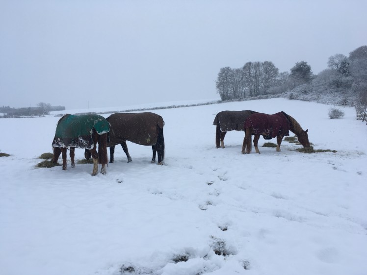 1DE3CA5C-F535-4F59-8FA9-D6618C967C43