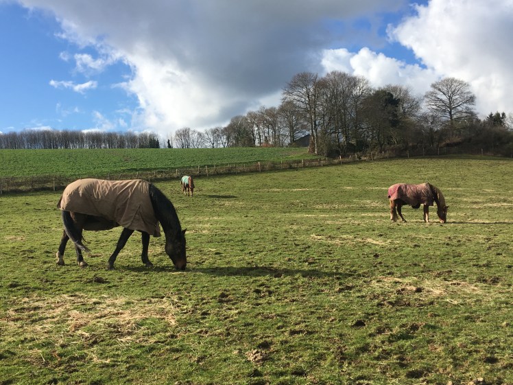 52DB6D30-970D-457B-952F-3F5331745D12