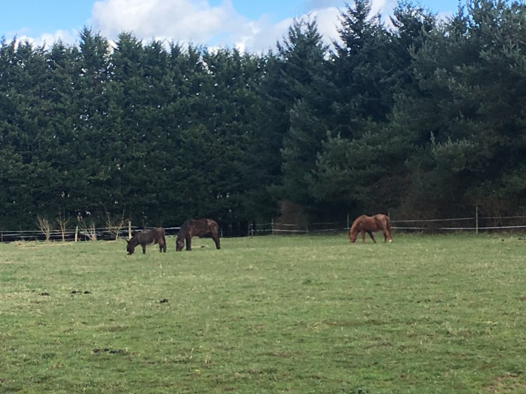 6902CC1D-5B82-4A49-B701-DB5D38C72B10