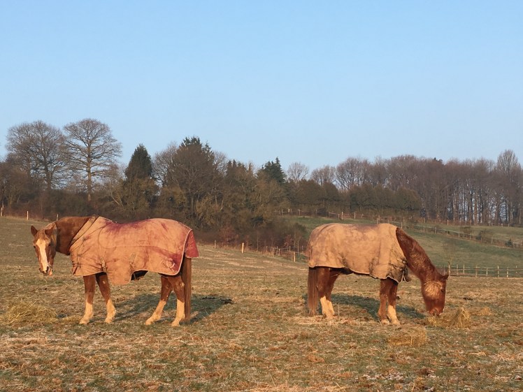 7280B98A-4D23-4082-98B2-2E4EF19FF313