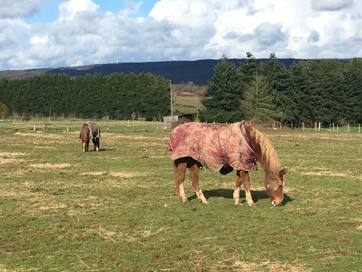 76C301DA-A637-467B-9208-6FEA3AA7B7E5