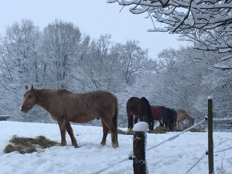 7D91CB94-C1D8-4F19-BB7C-1CBF6E741608