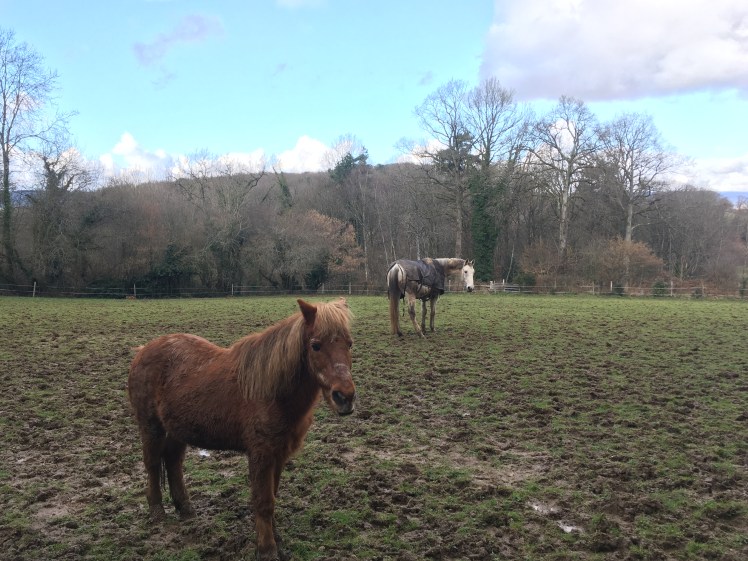 A5555C2E-7413-4D34-9410-B7ECCAA3B478