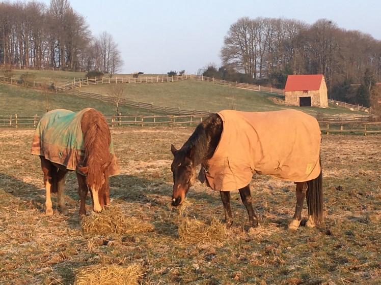 AAF7EAFF-FFC2-4DED-8D43-734836E99414