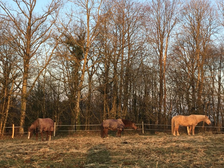 DC853FC6-D71E-4DFC-929A-F9C3AC756BB1