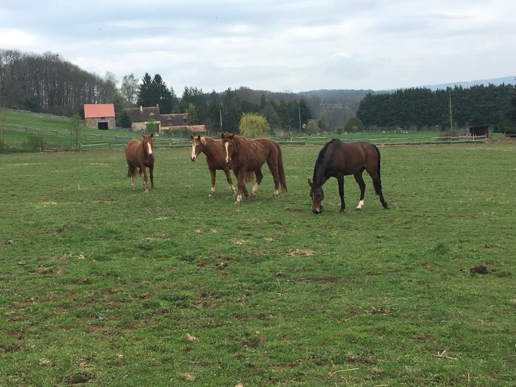 0A22DAF4-9BF7-4D3F-8C28-3790227DB8D2