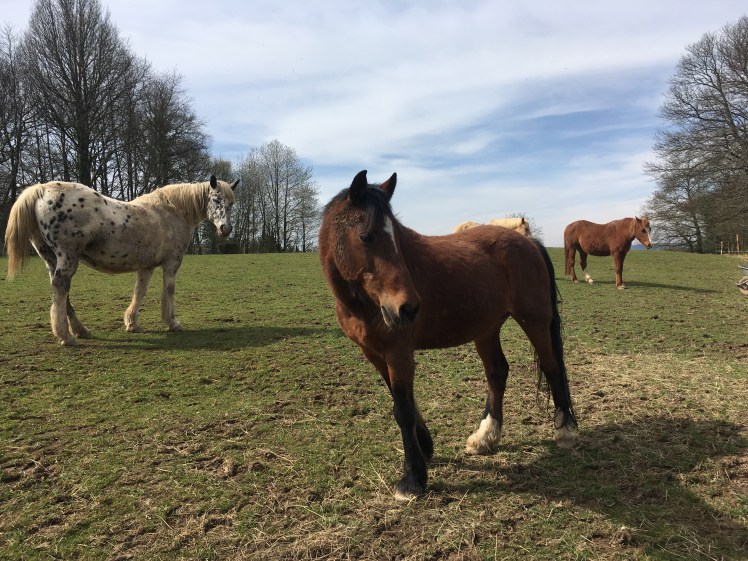 26898652-96D1-438C-95BC-8BEA642C0C5A