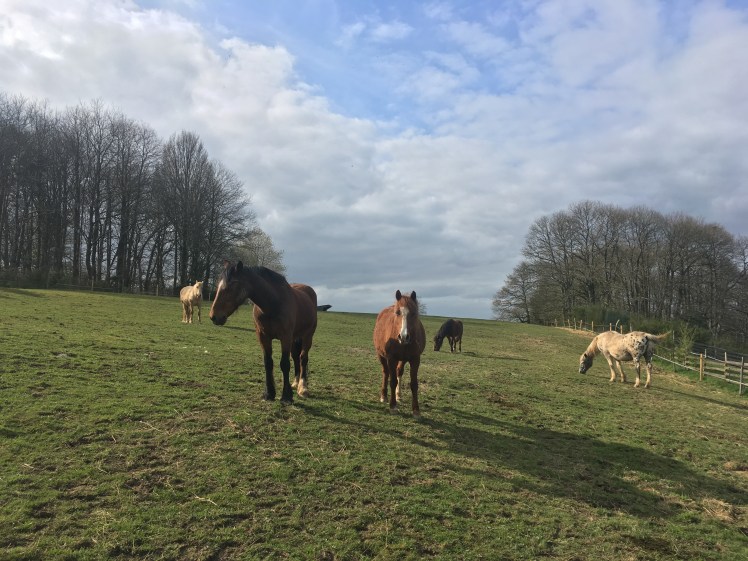 3D31C72E-0460-401E-9927-A6D0FD8CF0ED