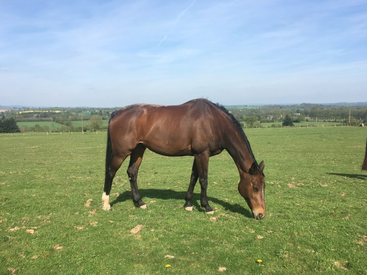 43060809-3679-4C9D-8520-1253105A5B64