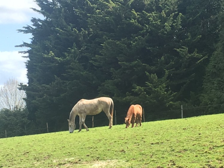 43FA8E73-FDA6-44BA-86CB-1B538F9D00F3