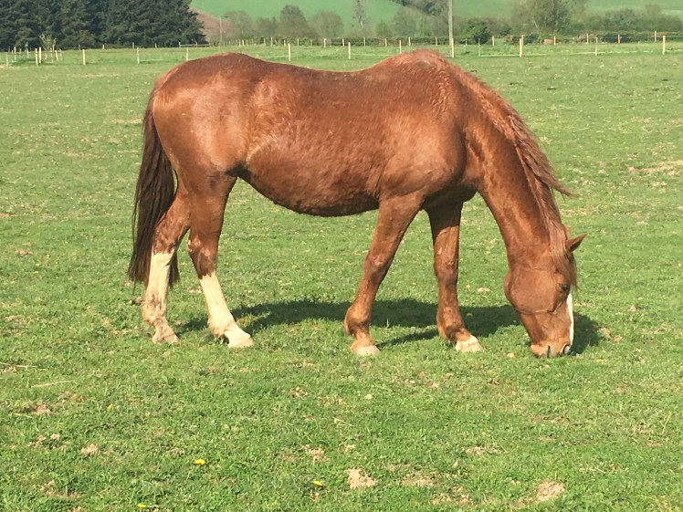 643018EB-5EA4-468F-8333-CD9EB1E03BCC