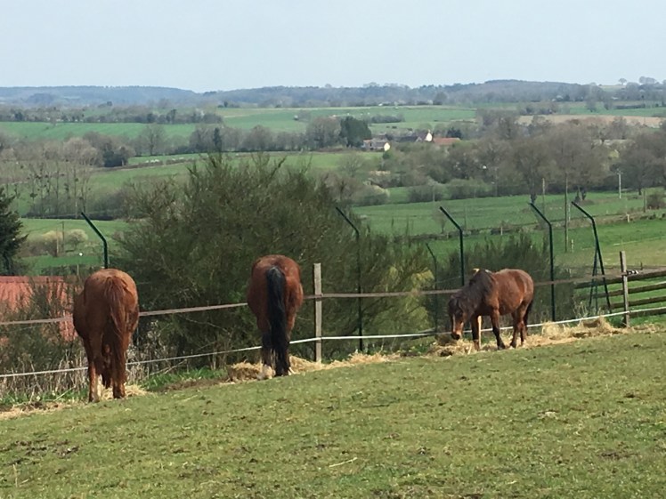 6955AE82-B0B8-4CAD-82BF-41AB2F4AA028