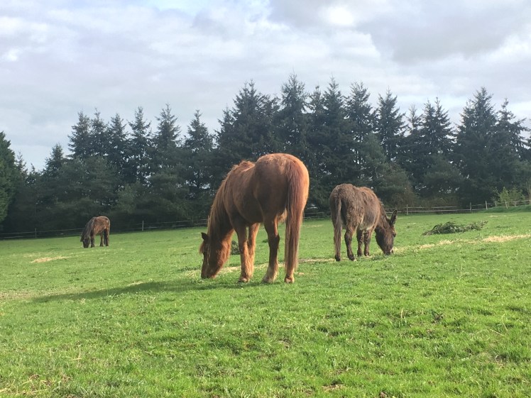 A71A1B60-183A-45A8-8B55-EEDDDFAB9757