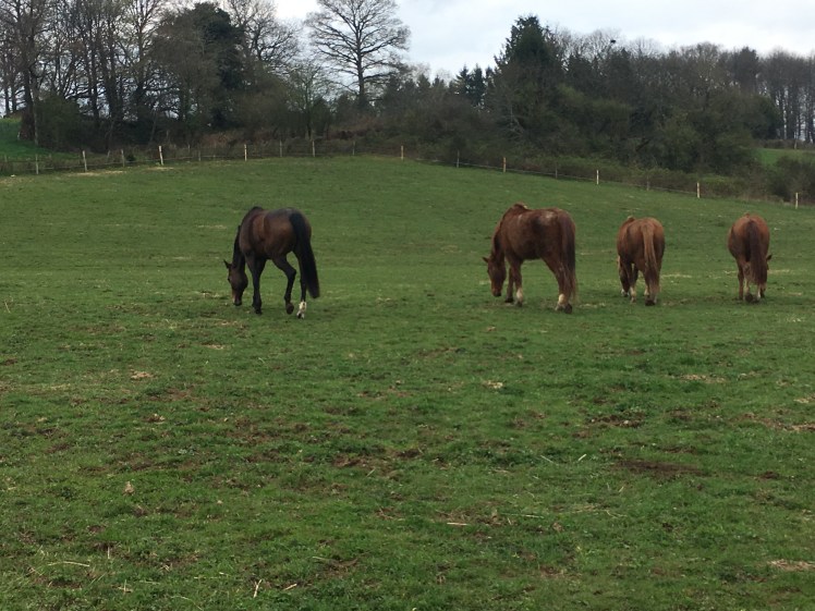 A8714C86-C6F1-4364-B1D1-7A69DAFB74BD