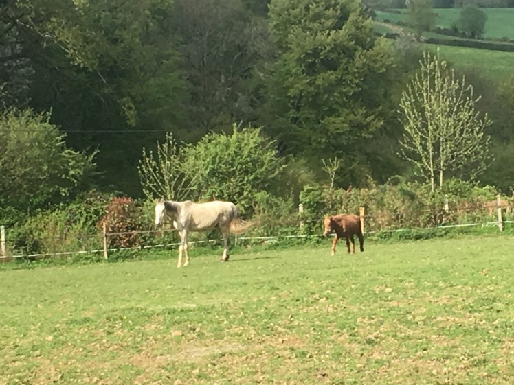 ABE249C5-73D8-4EFA-ACC2-644D9F68A461