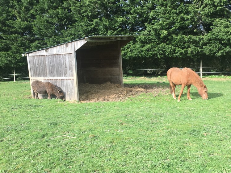 B0CCF55E-1FBF-49DB-A0E9-A51C4C1E7CE8