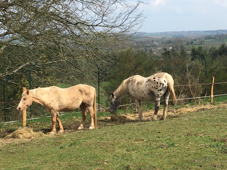 B40A46D8-CA32-419D-8225-1375D389A89A