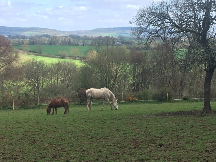 B7F9FA64-A6BC-4EF9-9007-4C9AD72B42BF