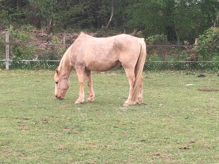 B9D47309-14D6-47F0-8412-90CE1F797B20