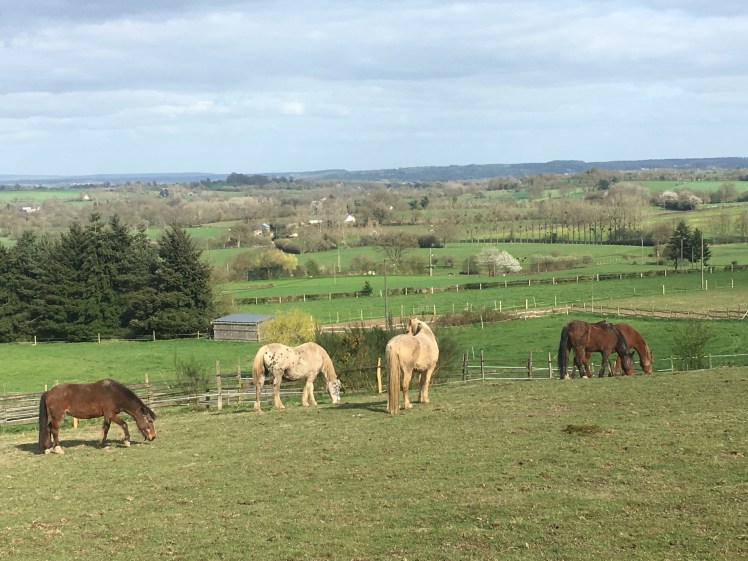 C24E267C-50A7-45C9-ADCB-6789740BCAC3