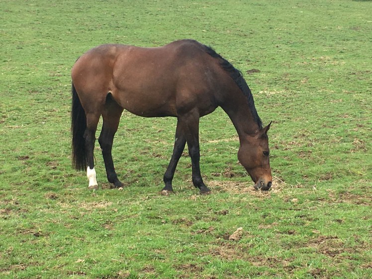 D178153E-C2C3-4A36-A242-9488F9451598