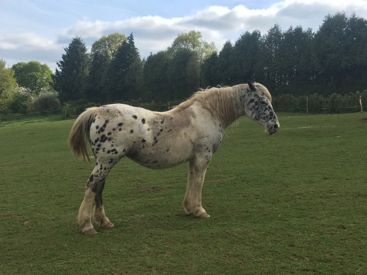 E259F452-4186-42F4-A767-4F1D3FF598D6