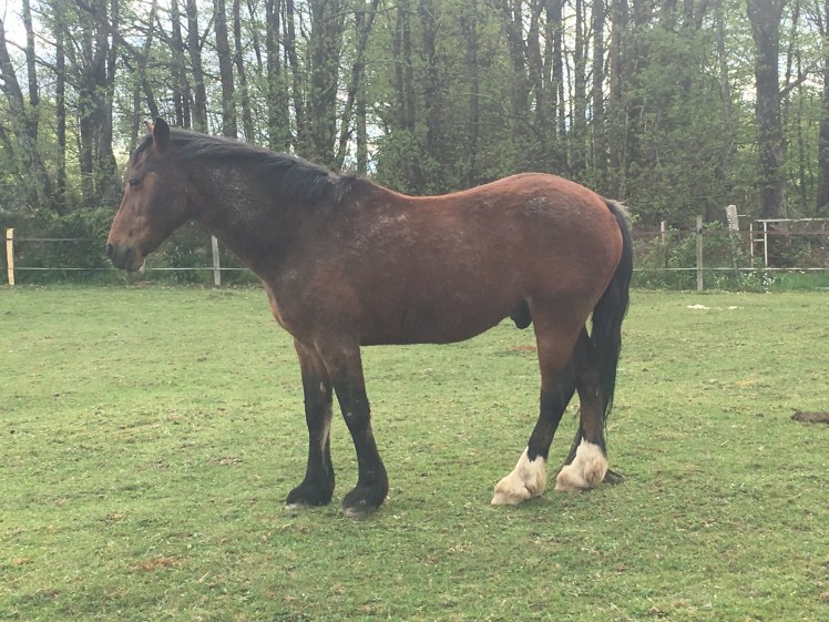 E29CBEC1-CCB3-4D0A-97FE-1001E0F972A6