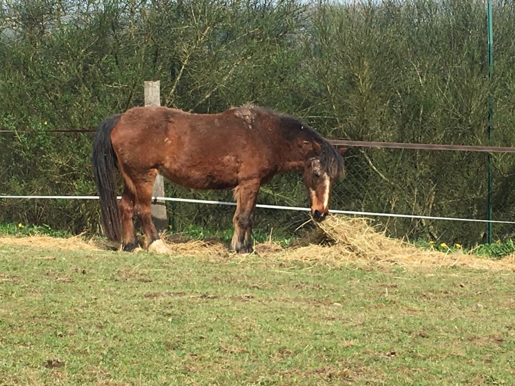 F90E2CC5-9568-4B72-B83F-4AE52C0A76CC