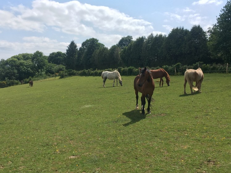 03EDC040-9B12-408F-955D-7FB9F84B5465