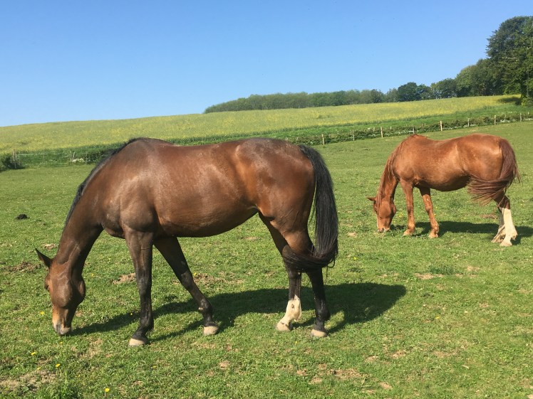 474F6A3A-FB5D-4C67-B4DA-812D85897B52