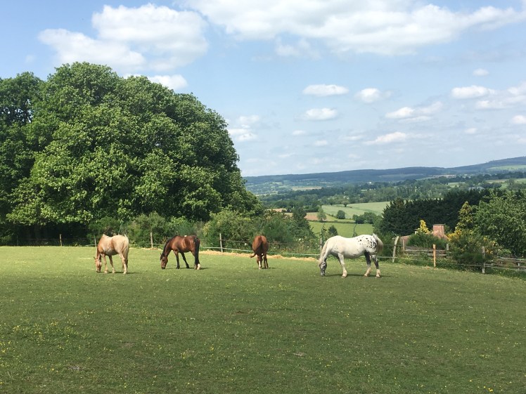 4EA7C578-2E10-47FF-B2C2-92C4BE3096E1