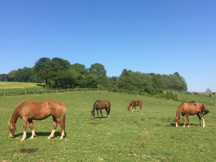 521781C0-D435-4A08-8C68-07BBD2982512