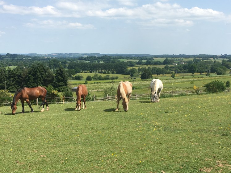 53B2758D-7721-481F-A439-4D1B6FDD7095