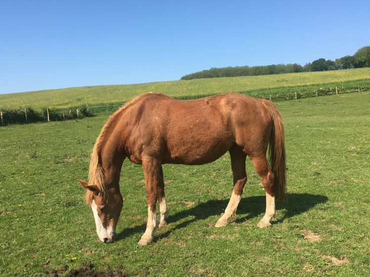 71E17091-F64D-4B18-8494-0547D8001AFA