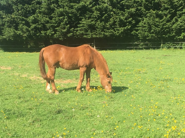 85913579-6658-4021-A275-7D49B0DAD0B1